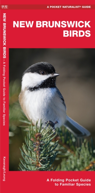 New Brunswick Birds : A Folding Pocket Guide to Familiar Species, Pamphlet Book