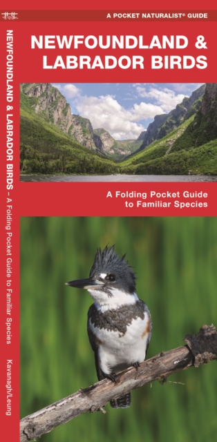Newfoundland & Labrador Birds : A Folding Pocket Guide to Familiar Species, Pamphlet Book