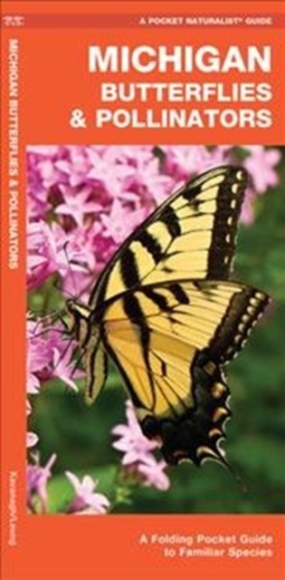Michigan Butterflies & Pollinators : A Folding Pocket Guide to Familiar Species, Pamphlet Book