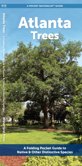 Atlanta Trees : A Folding Pocket Guide to Native & Other Distinctive Species, Pamphlet Book