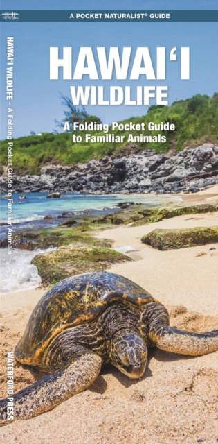 Hawai'i Wildlife : A Folding Pocket Guide to Familiar Animals, Pamphlet Book