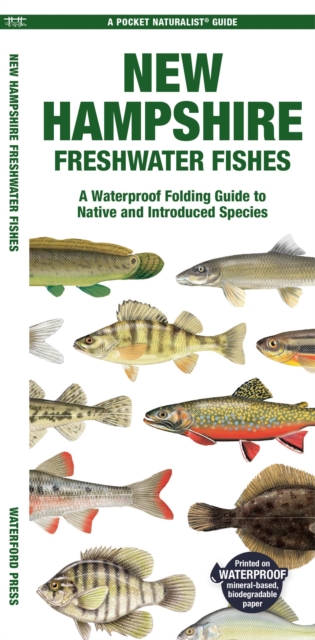 New Hampshire Freshwater Fishes : A Waterproof Folding Guide to Native and Introduced Species, Pamphlet Book