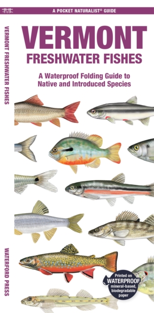 Vermont Freshwater Fishes : A Waterproof Folding Guide to Native and Introduced Species, Pamphlet Book