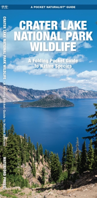 Crater Lake National Park Wildlife : A Folding Pocket Guide to Native Species, Pamphlet Book