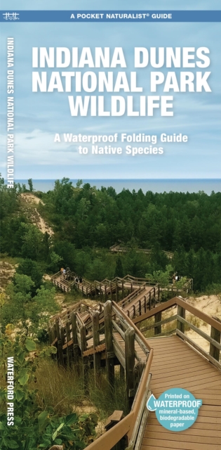 Indiana Dunes National Park Wildlife : A Waterproof Folding Guide to Native Species, Pamphlet Book