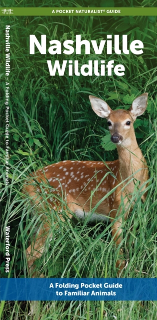 Nashville Wildlife : A Folding Pocket Guide to Familiar Animals, Pamphlet Book