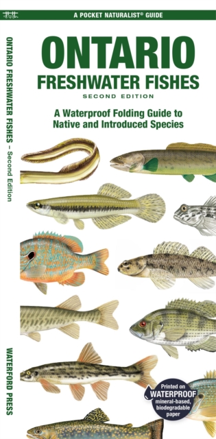 Ontario Freshwater Fishes : A Waterproof Folding Guide to Native and Introduced Species, Pamphlet Book