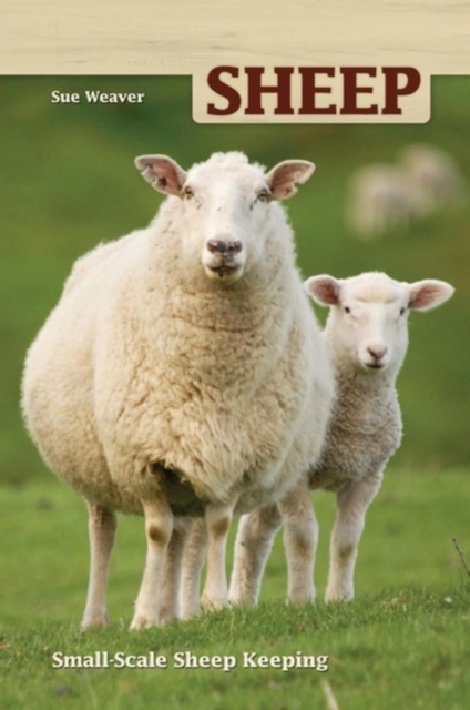 Sheep : Small Scale Sheep Keeping, Paperback / softback Book