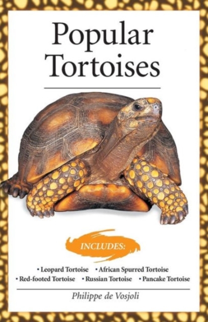 Popular Tortoises (Advanced Vivarium Systems), Paperback / softback Book