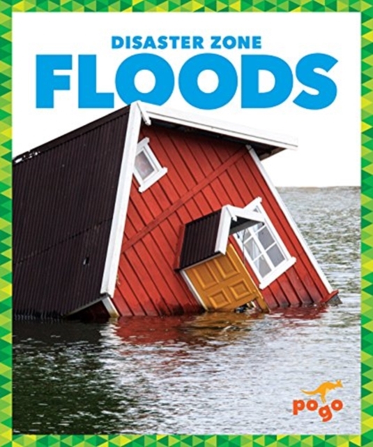 Floods, Hardback Book