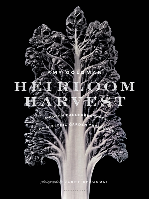 Heirloom Harvest : Modern Daguerreotypes of Historic Garden Treasures, Hardback Book