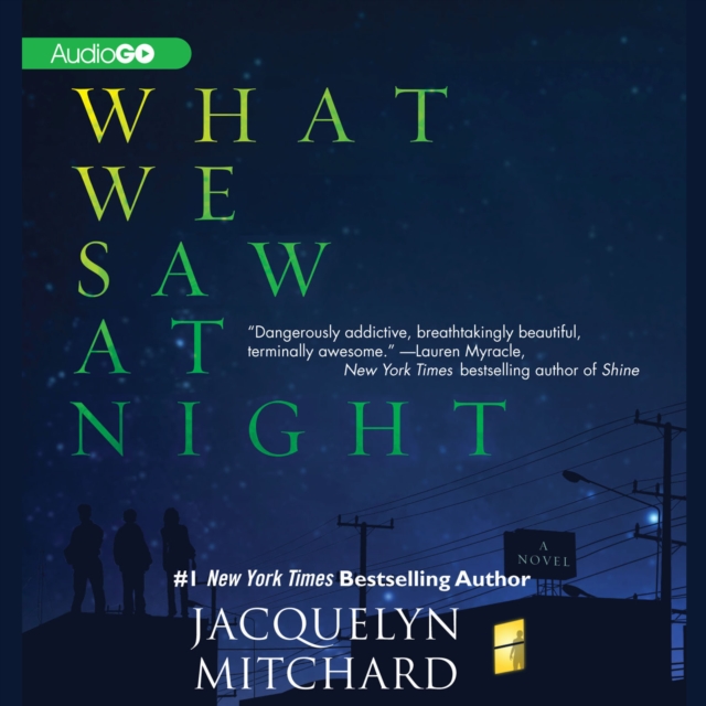 What We Saw at Night, eAudiobook MP3 eaudioBook
