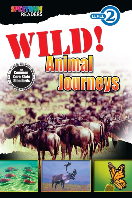 Wild! Animal Journeys : Level 2, PDF eBook