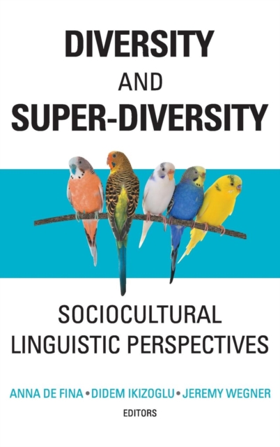 Diversity and Super-Diversity : Sociocultural Linguistic Perspectives, Hardback Book