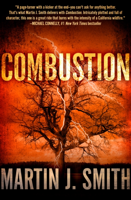 Combustion, EPUB eBook