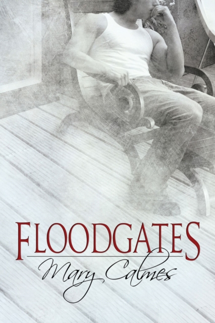 Floodgates, Paperback / softback Book