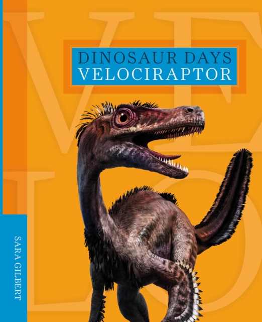Dinosaur Days: Velociraptor, Paperback / softback Book