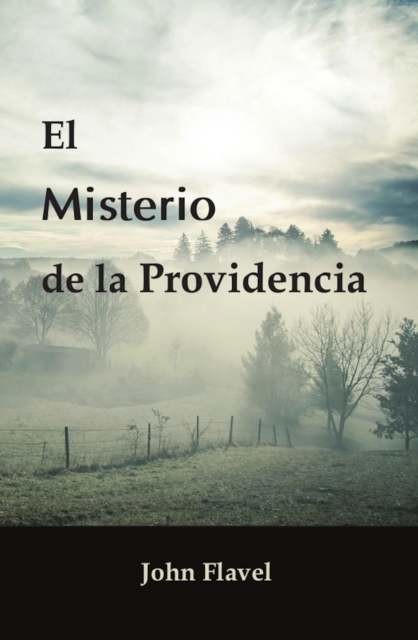 El misterio de la Providencia, EPUB eBook