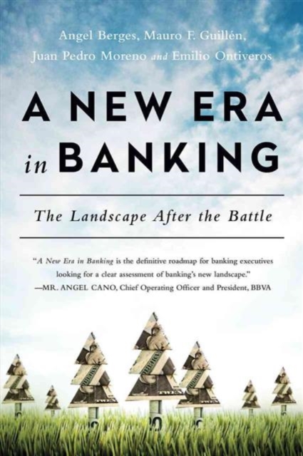 New Era in Banking : The Landscape After the Battle, Paperback / softback Book
