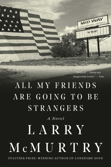 All My Friends Are Going to Be Strangers : A Novel, EPUB eBook