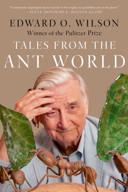 Tales from the Ant World, EPUB eBook