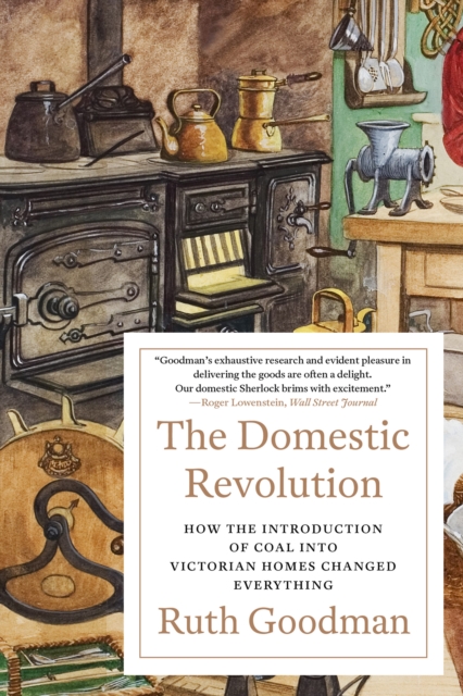 The Domestic Revolution : How the Introduction of Coal into Victorian Homes Changed Everything, EPUB eBook