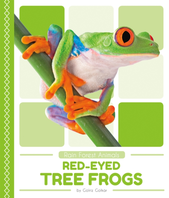 Rain Forest Animals: Red-Eyed Tree Frogs, Paperback / softback Book