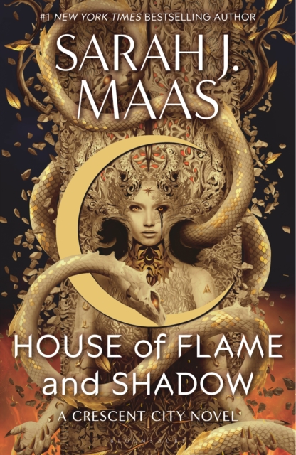 House of Flame and Shadow, Hardback Book
