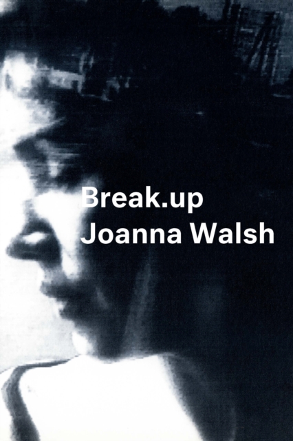 Break.up : A Novel in Essays, PDF eBook