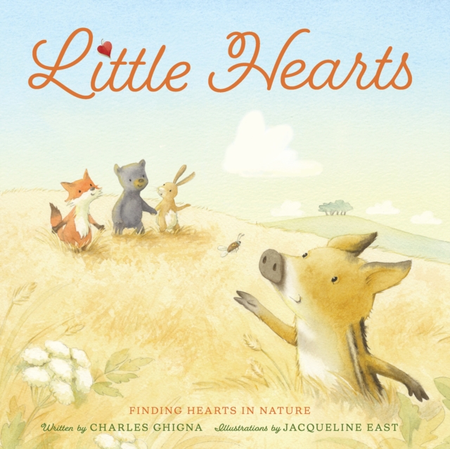 Little Hearts : Finding Hearts in Nature, Hardback Book