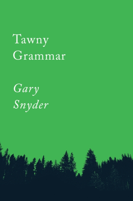 Tawny Grammar : Essays, Paperback / softback Book