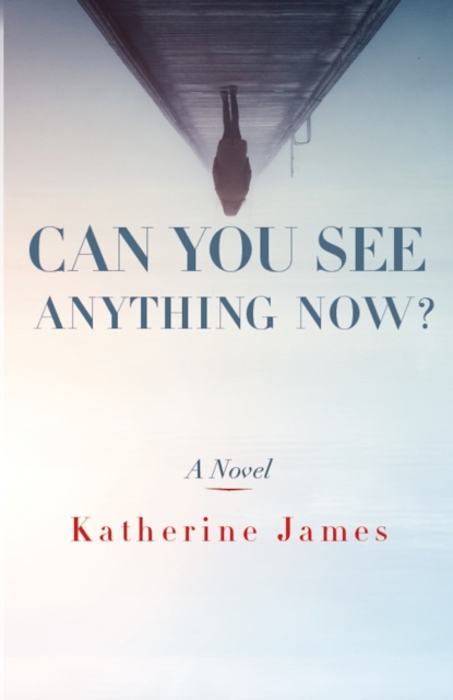 Can You See Anything Now? : A Novel, PDF eBook