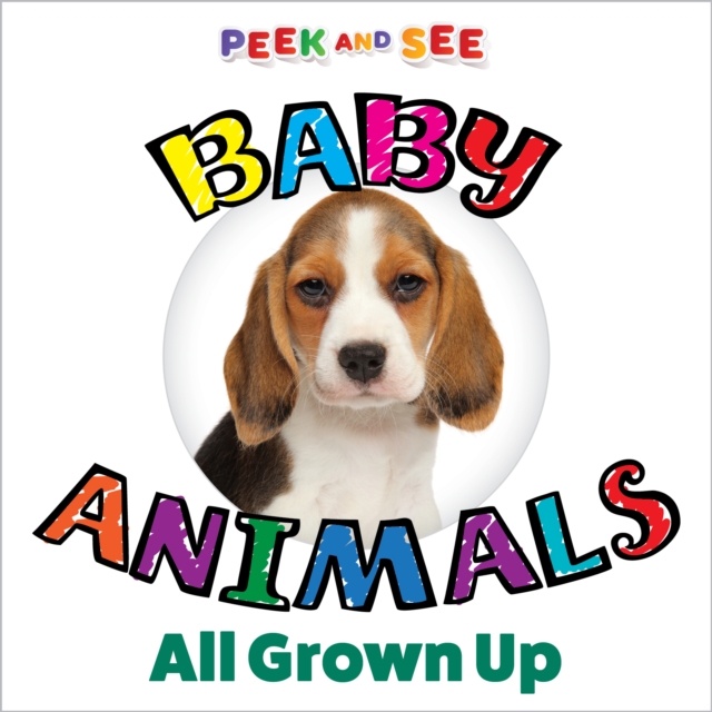 Peek and See Baby Animals All Grown Up, Board book Book