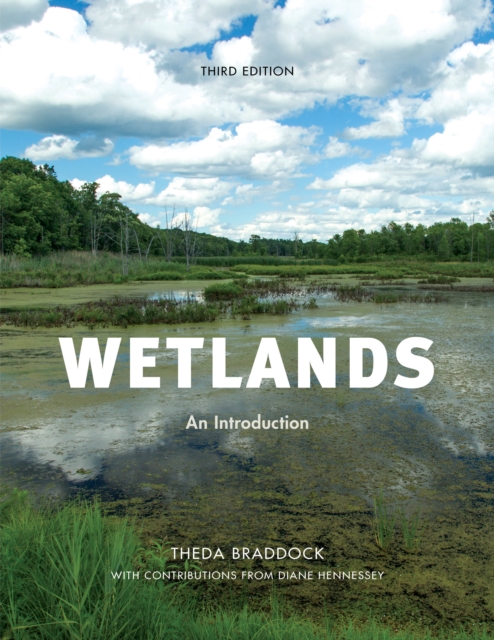 Wetlands : An Introduction, Paperback / softback Book