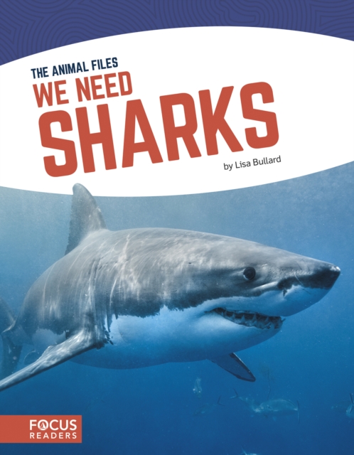 We Need Sharks, Hardback Book