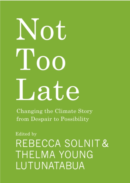 Not Too Late : Changing the Climate Story from Despair to Possibility, Paperback / softback Book