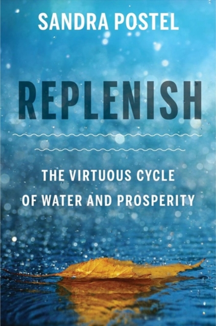 Replenish : The Virtuous Cycle of Water and Prosperity, Paperback / softback Book