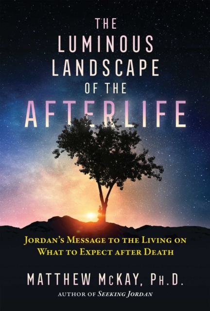 The Luminous Landscape of the Afterlife : Jordan's Message to the Living on What to Expect after Death, EPUB eBook