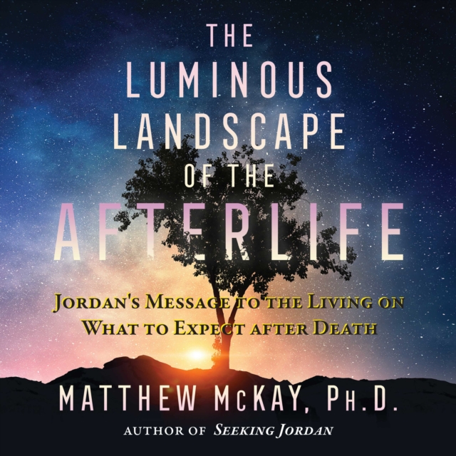 The Luminous Landscape of the Afterlife : Jordan's Message to the Living on What to Expect after Death, eAudiobook MP3 eaudioBook