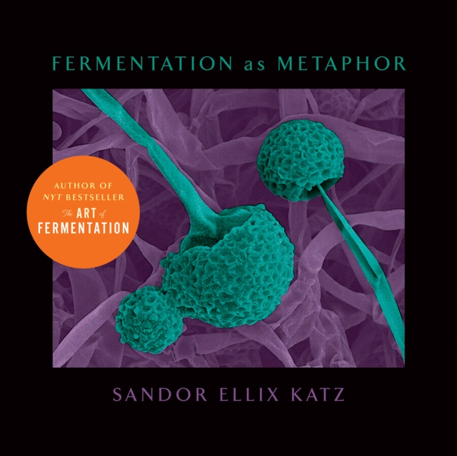 Fermentation as Metaphor : From the Author of the Bestselling "The Art of Fermentation", EPUB eBook