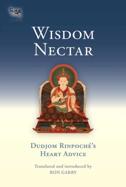 Wisdom Nectar : Dudjom Rinpoche's Heart Advice, Paperback / softback Book