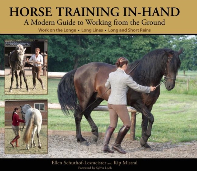 Horse Training In-Hand : A Modern Guide to Working from the Ground, EPUB eBook