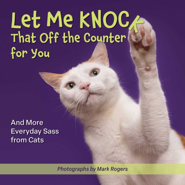 Let Me Knock That Off The Counter For You : And More Everyday Sass from Cats, Paperback / softback Book