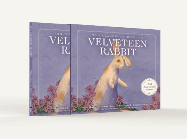 The Velveteen Rabbit 100th Anniversary Edition : The Limited Hardcover Slipcase Edition, Hardback Book