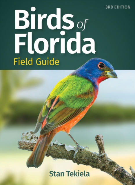 Birds of Florida Field Guide, Paperback / softback Book