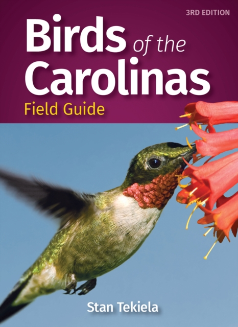 Birds of the Carolinas Field Guide, Paperback / softback Book