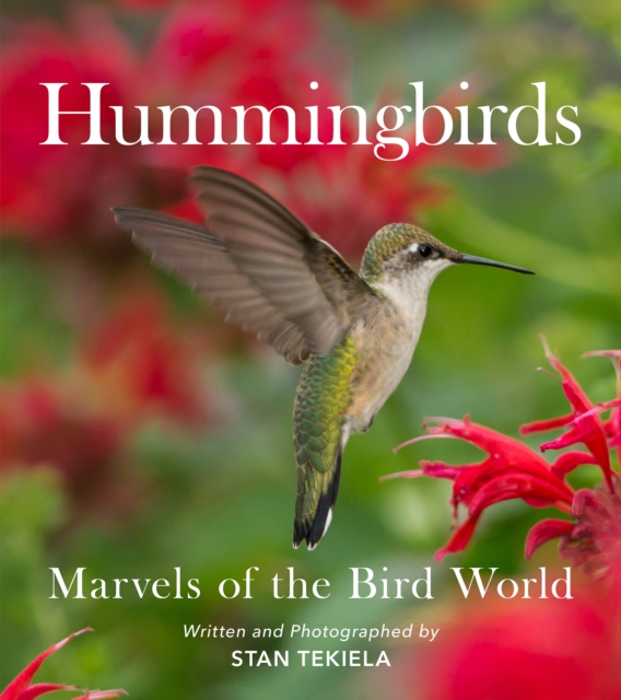 Hummingbirds : Marvels of the Bird World, Paperback / softback Book