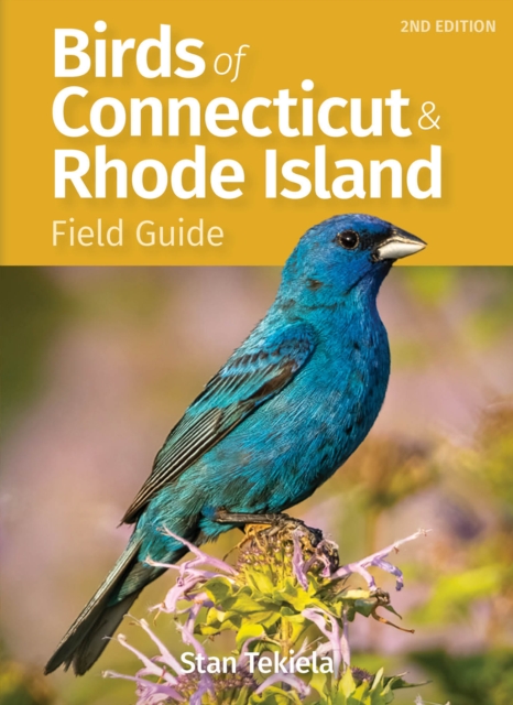 Birds of Connecticut Field Guide, Paperback / softback Book