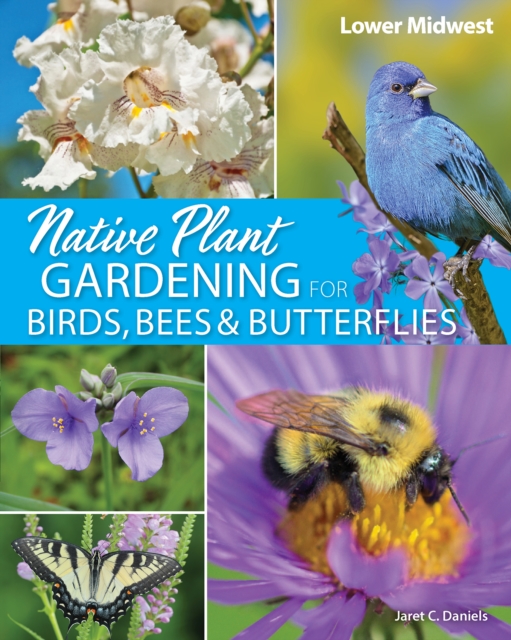 Native Plant Gardening for Birds, Bees & Butterflies: Lower Midwest, Paperback / softback Book