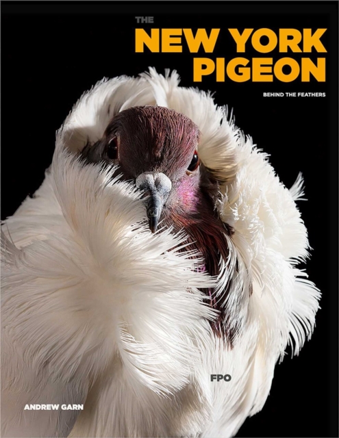 The New York Pigeon, Hardback Book